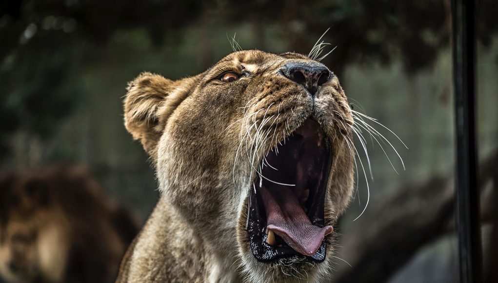 10 Ways to Make Extra Money as a Graphic Designer