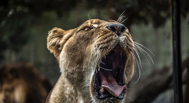 How To Use Basic Design Principles To Decorate Your Home